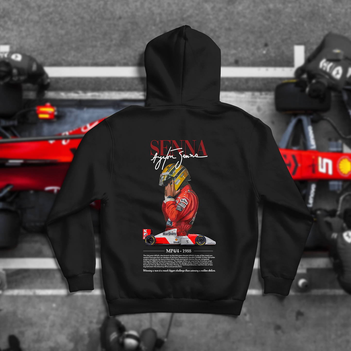 F1 Senna duks